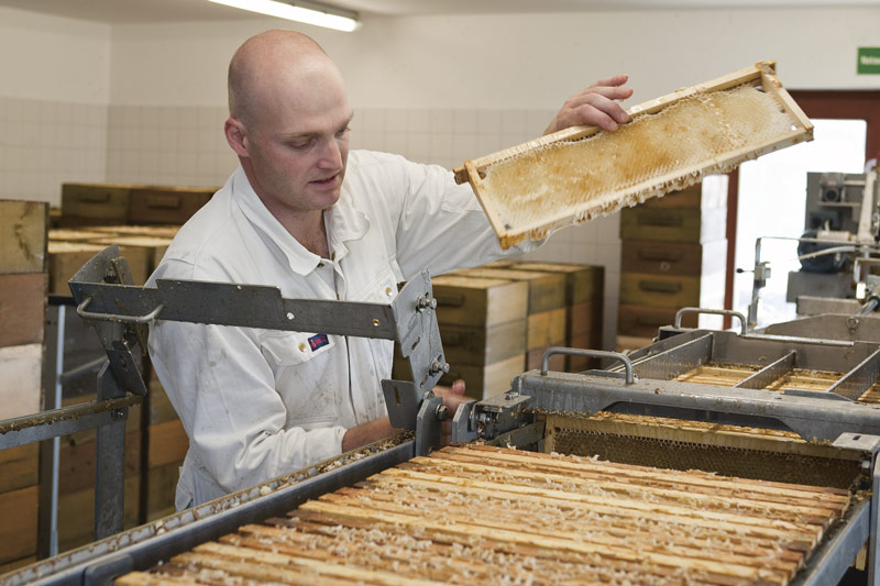 Ein Mitarbeiter der Imkerei Bunsen beim Honig schleudern.