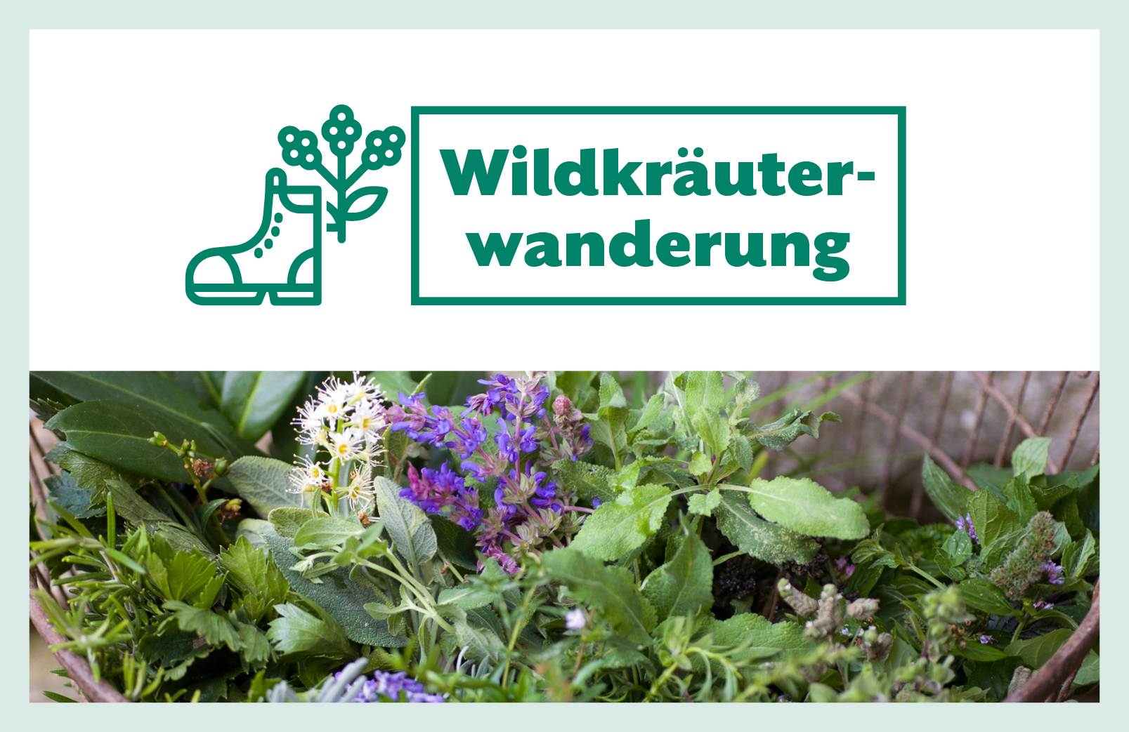 Featured image for “Wildkräuterwanderung 2023”