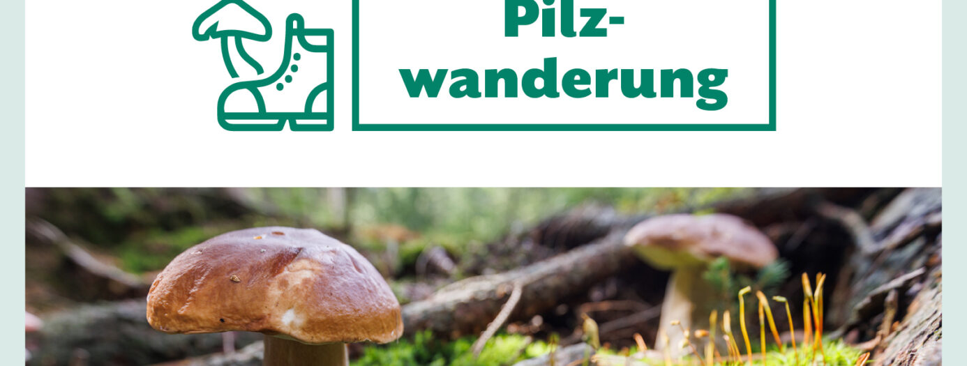 NOVUM-Event Pilzwanderung