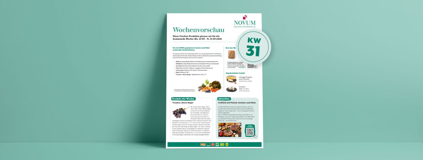 Vorschau eines Informationsblatts von NOVUM – Der Bio-Lieferservice – mit dem Titel „Wochenvorschau“. Es zeigt Inhalte für die Bio-FrischeKisten der Folgewoche – Kalenderwoche 31/2026 – zudem Rezeptvorschläge und allgemeine Produktinfos. Im Mittelteil aufgelistet sind regionale Obst- und Gemüsesorten, das Brot der Woche und das Käse-Monatsangebot. Darunter steht links ein Infotext über dunkle Trauben, die in KW31 in der Kiste sein werden. Darunter ist die Abbildung einer dunklen Traube zu sehen. Rechts daneben steht ein zweiter Informationsblock mit dem Hinweis auf die Themenwelt „GrillZeit“ im NOVUM-Shop. Das Design ist schlicht, mit grüner Akzentfarbe auf weißem Hintergrund, dargestellt auf einem hellgrünen Wandhintergrund.