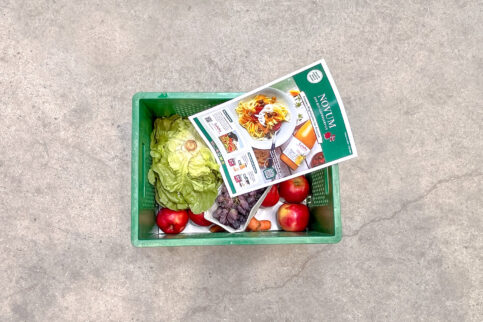 Frische Angebote im August