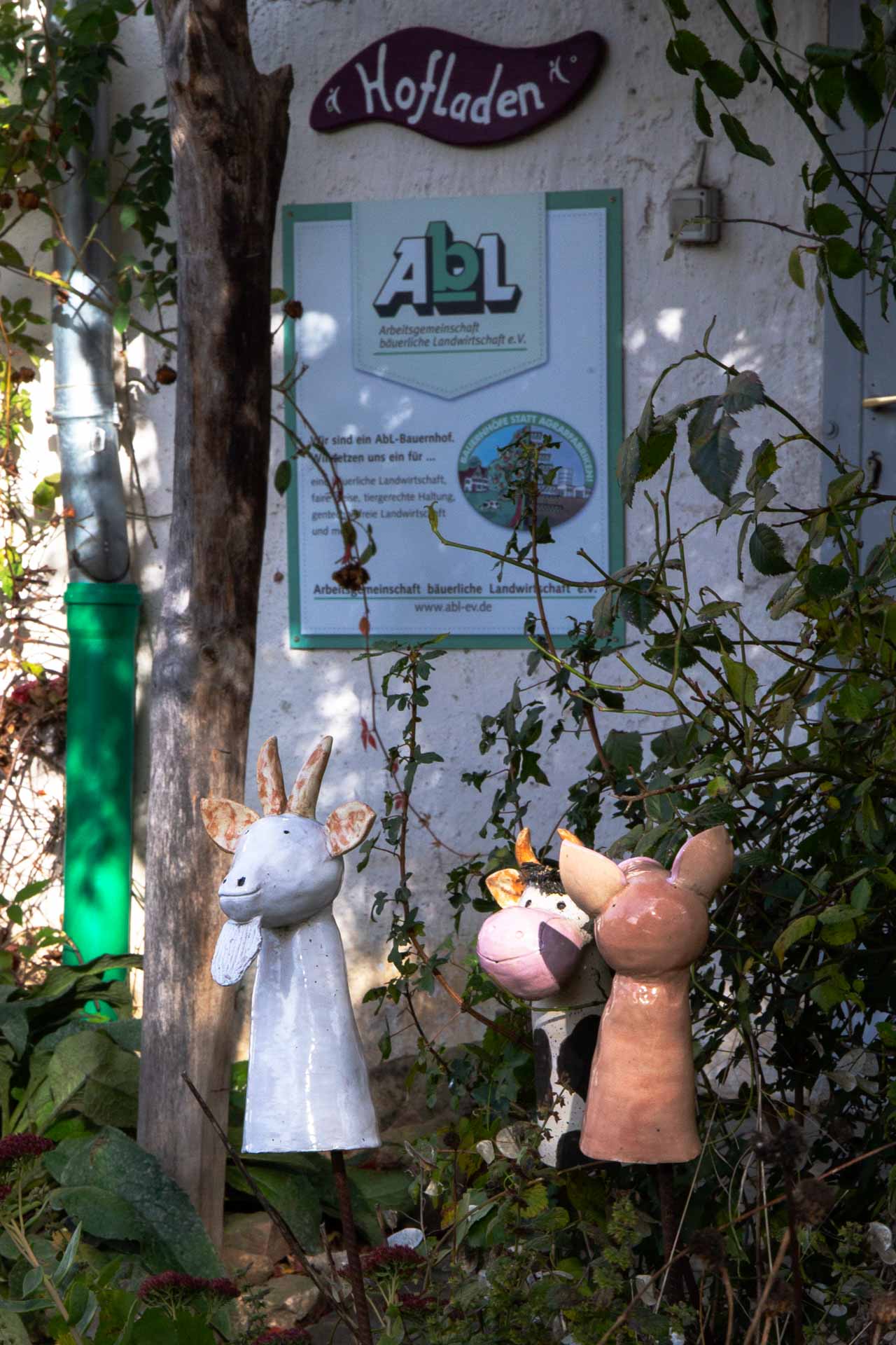 Ziege, Schwein und Kuh begrüßen Kund:innen vor dem Hofladen Lehnmühle.