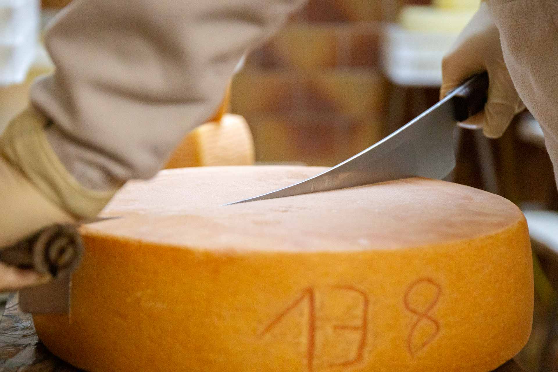 Blick in den Melkstand des Kapellenhofs in Hammersbach mit erweiterter Ansicht der Melk-Technik für Schafe. Der regionale Erzeuger Kapellenhof ist ein Naturland-zertifizierter Bio-Hof mit Schafhaltung und eigener Milchverarbeitung.