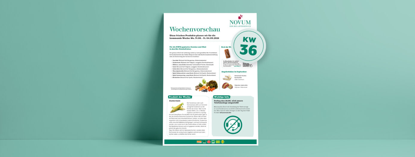 Vorschau eines Informationsblatts von NOVUM – Der Bio-Lieferservice – mit dem Titel „Wochenvorschau“. Es zeigt Inhalte für die Bio-FrischeKisten der Folgewoche – Kalenderwoche 36/2026 – zudem Rezeptvorschläge und allgemeine Produktinfos. Im Mittelteil aufgelistet sind regionale Obst- und Gemüsesorten, das Brot der Woche und das Käse-Monatsangebot. Darunter steht links ein Infotext über Zuckermais, der in KW36 in der Kiste sein wird. Darunter ist die Abbildung zweier Maiskolben zu sehen. Rechts daneben steht ein zweiter Informationsblock mit dem Hinweis, dass der Kundenservice von NOVUM am 28.08. wegen Umstellung der Telefonanlage nur unter der E-Mail-Adresse info@novum.bio erreichbar ist. Das Design ist schlicht, mit grüner Akzentfarbe auf weißem Hintergrund, dargestellt auf einem hellgrünen Wandhintergrund.