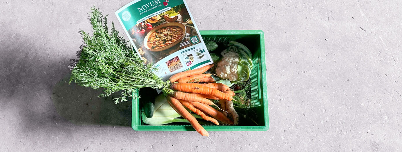 Grüne Kiste mit Möhren, Blumenkohl und Fenchel von oben betrachtet. In der Kiste liegt außerdem ein Din A 4 Blatt. Es ist das Angebotsblätttchen der Firma NOVUM für den Monat September, 2026.